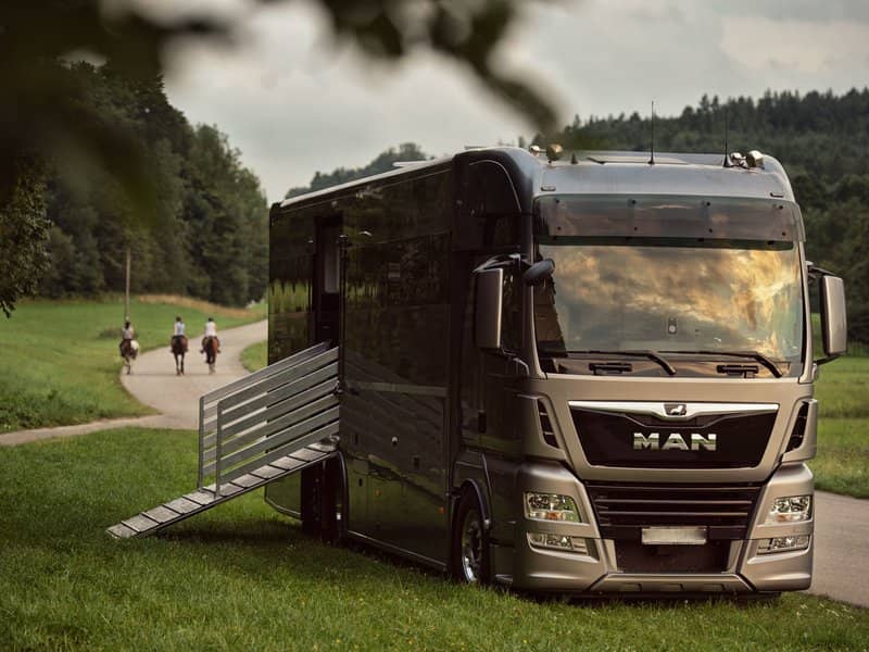 event-horses-travel-first-class-featured
